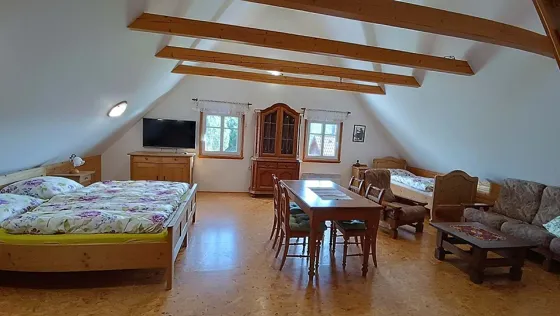 Chalupa Sněžné · Foto 45